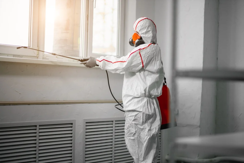 Professional mold remediation services in Somers Point, NJ